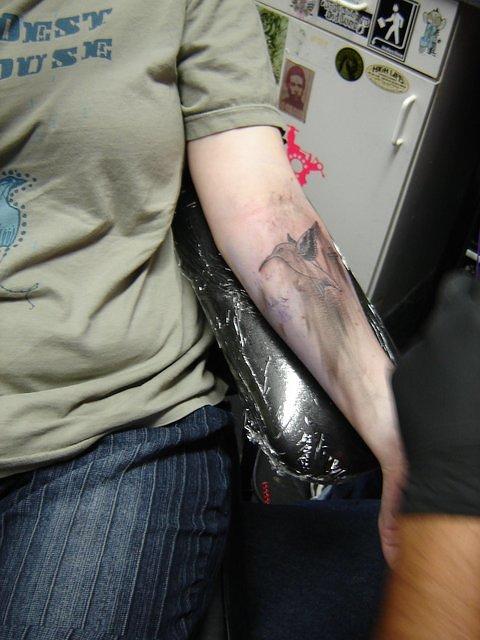 Dsc07096