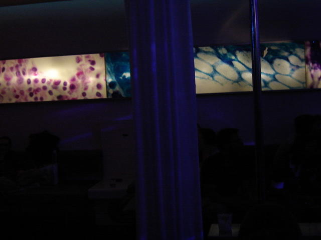 DSC00552