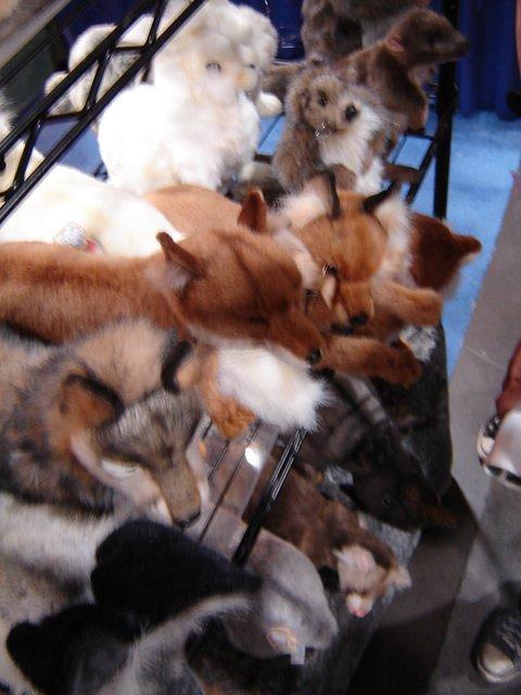 Dsc00831