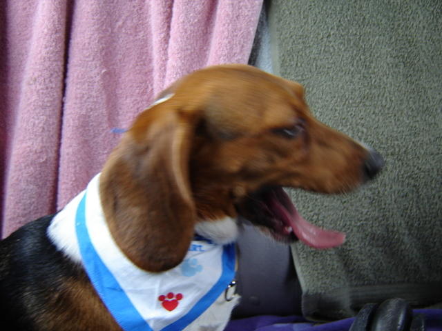 DSC04965