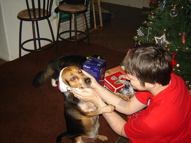 DSC09401