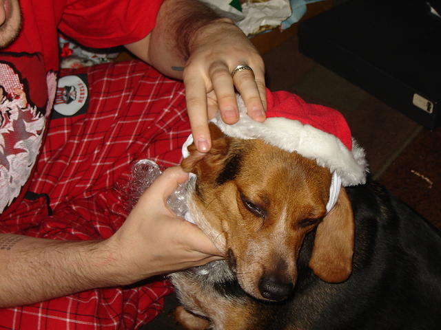 DSC09403
