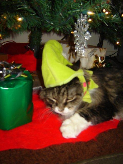 Dsc09392