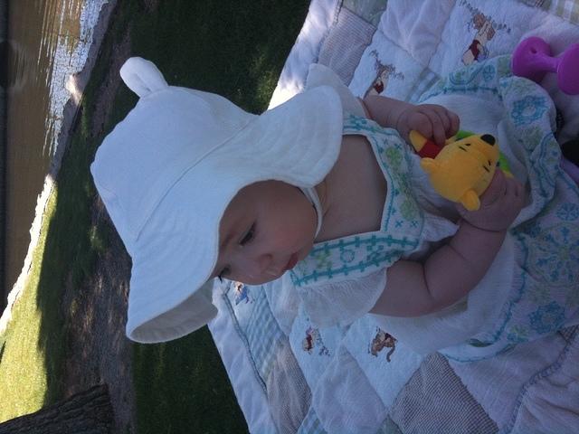 IMG 0553