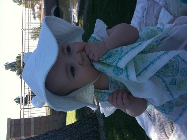 IMG 0560