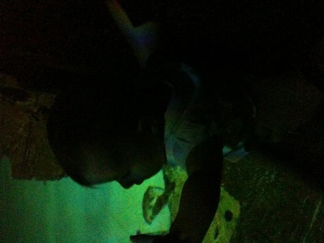 IMG 0812