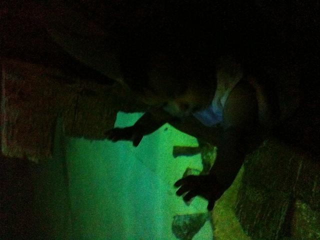 IMG 0824