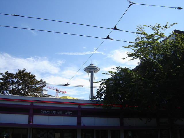 DSC05688