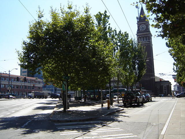 DSC05694