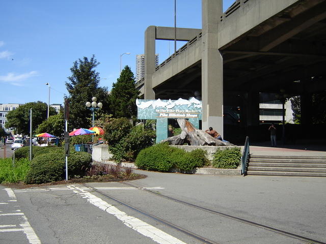 DSC05702