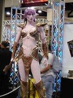 Dsc00809