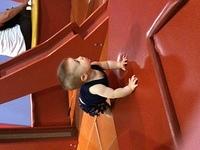 IMG 0366