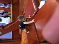 IMG 0369