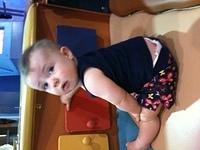 IMG 0379