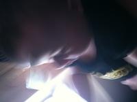 IMG 0444