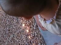 IMG 0451