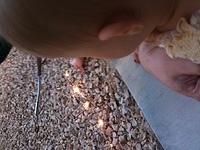IMG 0452