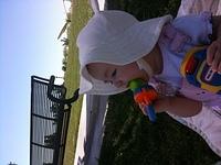 IMG 0591