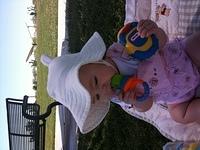 IMG 0592