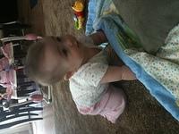 IMG 0654