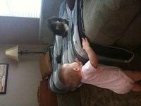 IMG 0735
