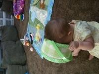 IMG 0767