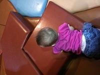 IMG 0771