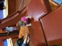 IMG 0781