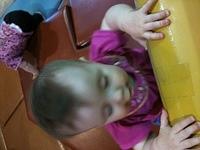 IMG 0784