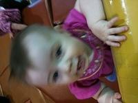 IMG 0785