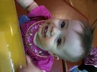 IMG 0786