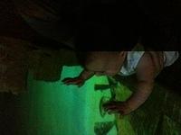 IMG 0825