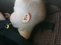 IMG 0868