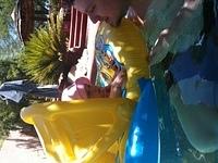 IMG 0877