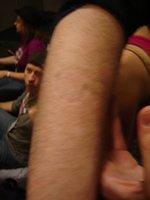 Dsc08550